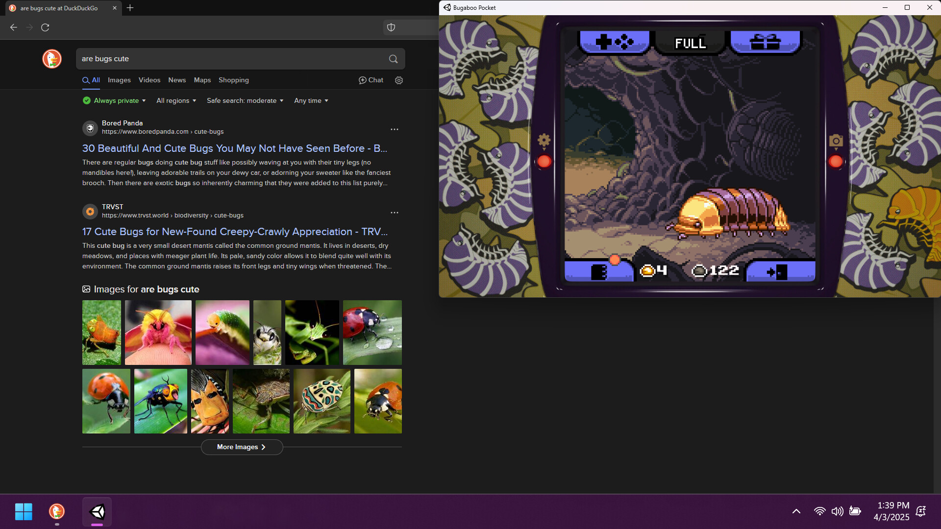 昆虫观察日记/Bugaboo Pocket_1