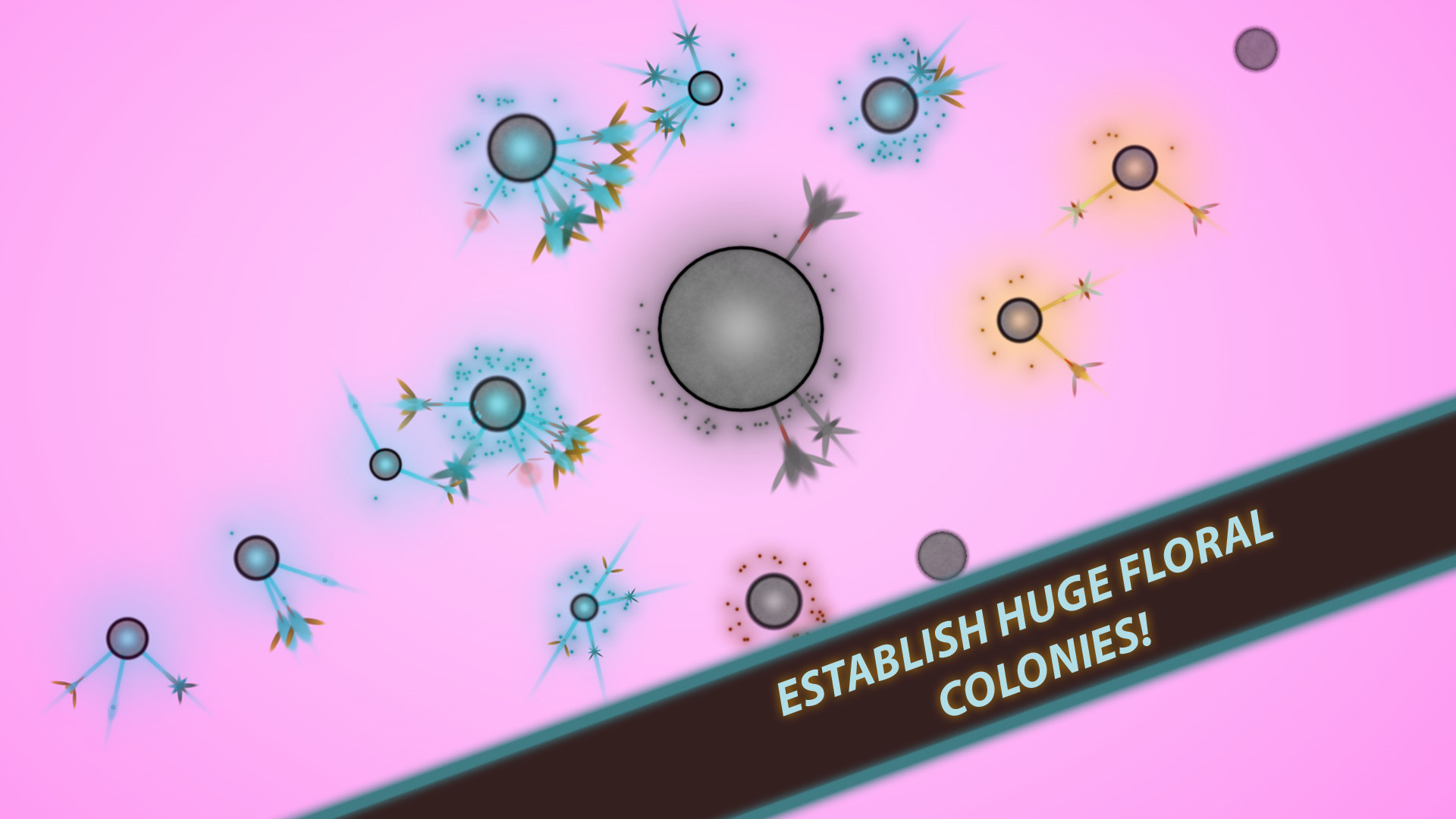 真菌世界 Eufloria HD_0