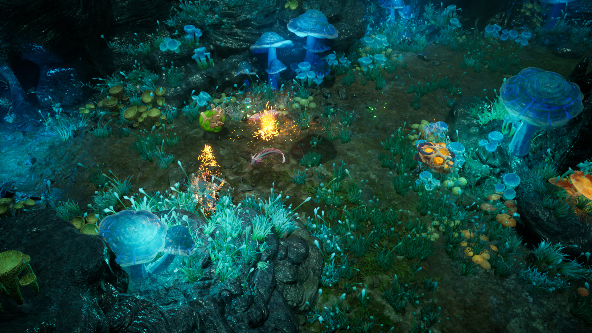 再次崛起/Rise Again_0