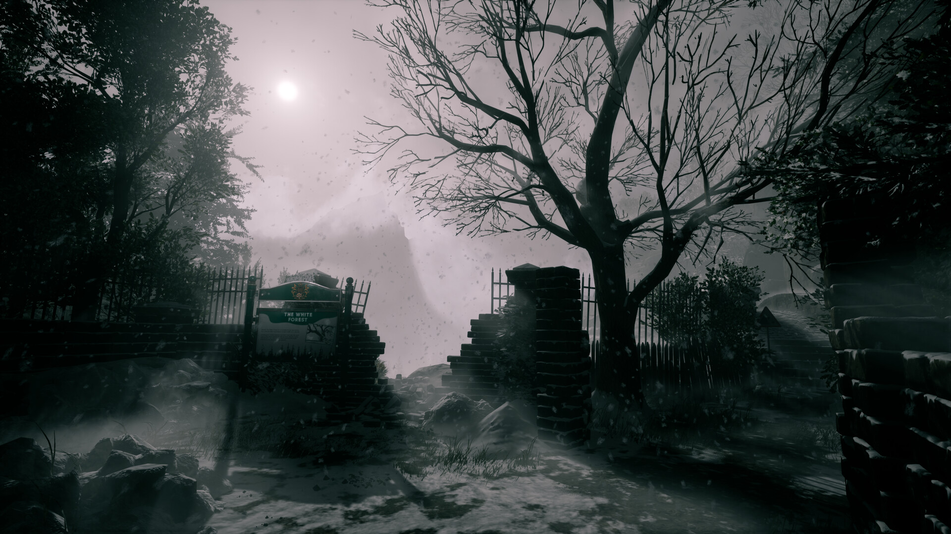 她要离开/She's Leaving_2