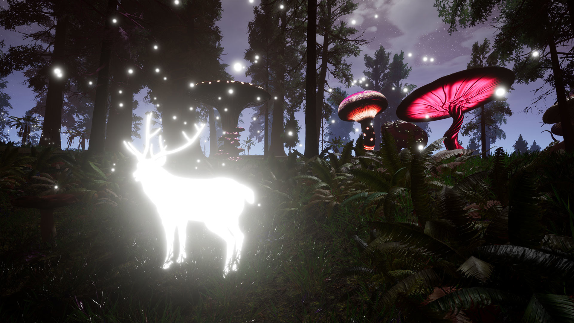 清醒循环 Lucid Cycle_2