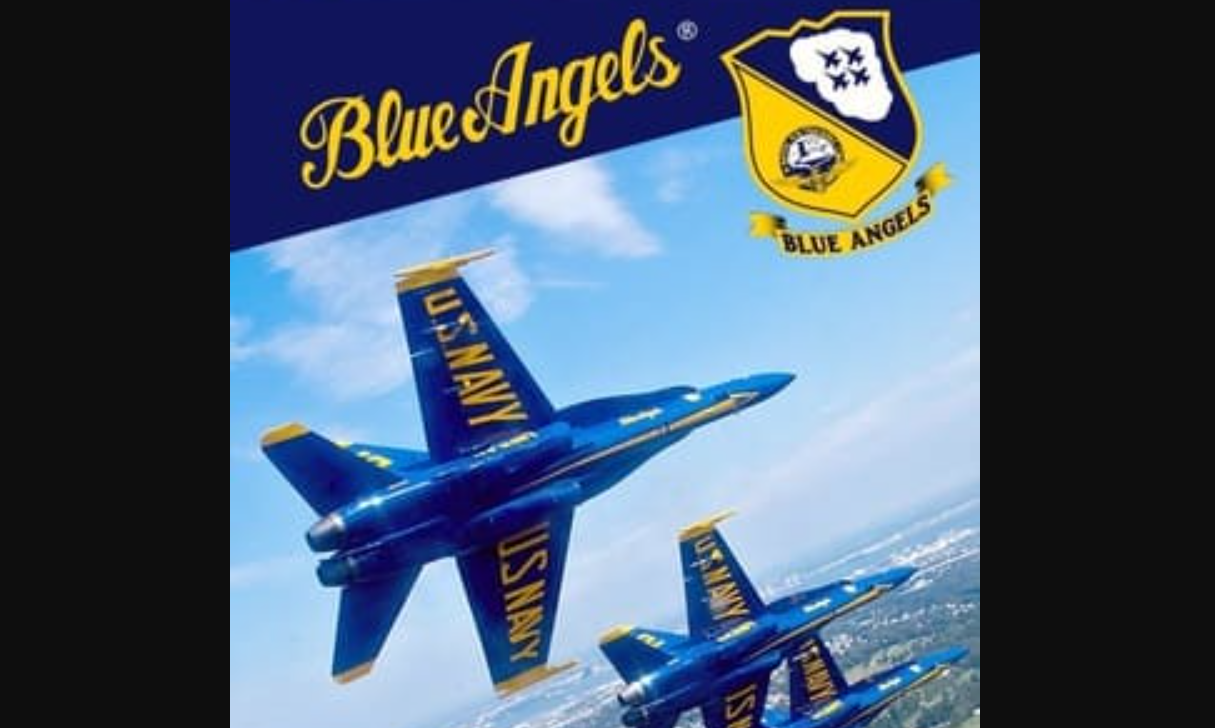 国际虚拟航空节 - 蓝天使表演队_0