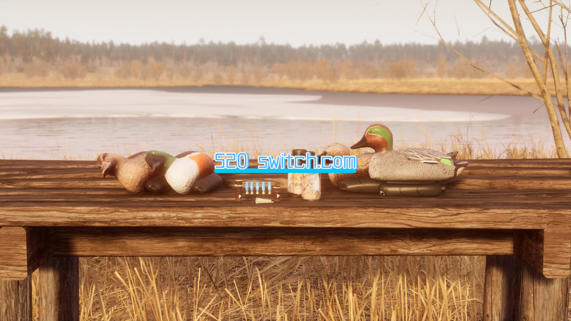 BULT:狩猎模拟器/BULT: Hunting simulator_0