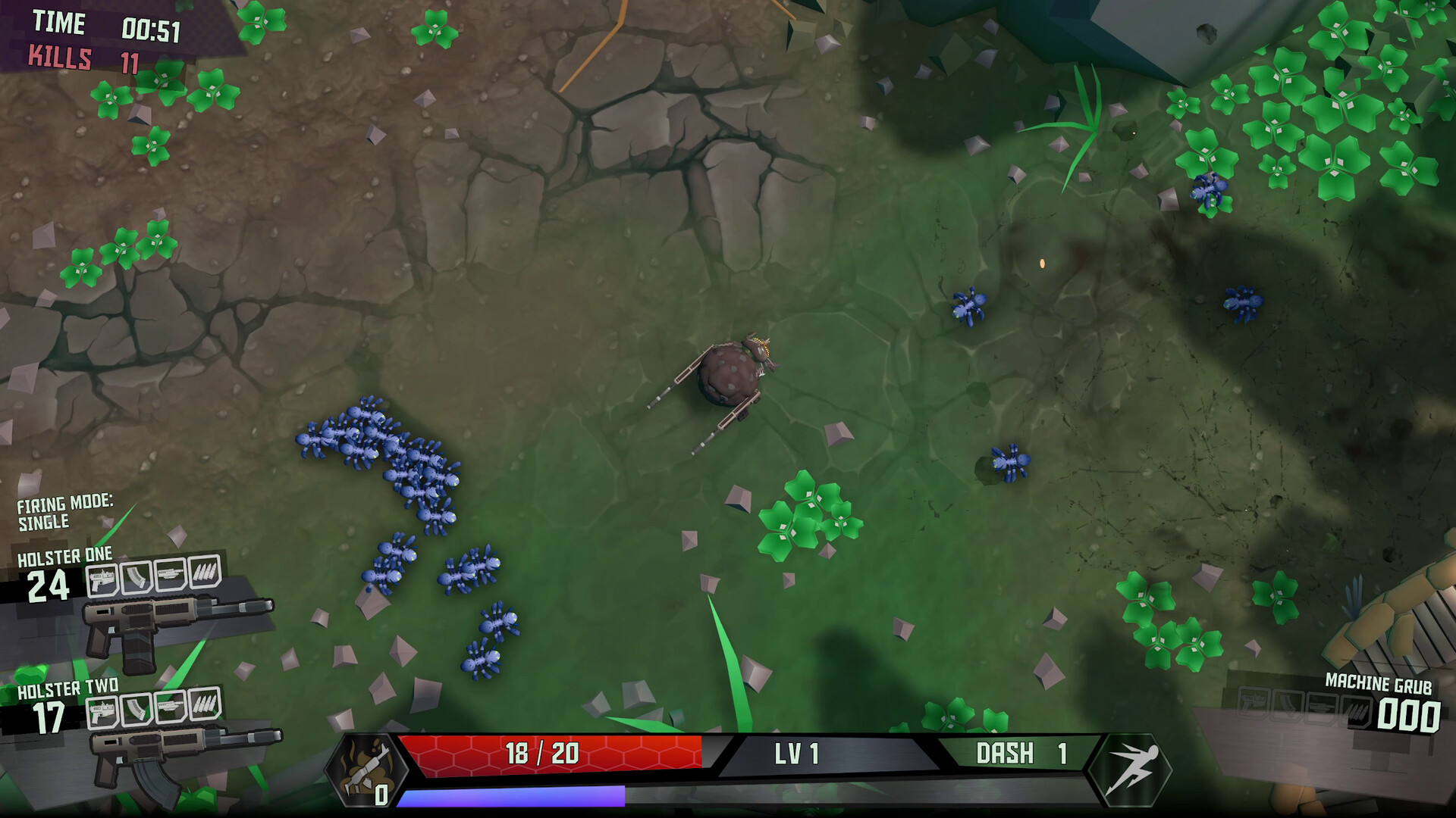 枪螂/Gung Beetle_2