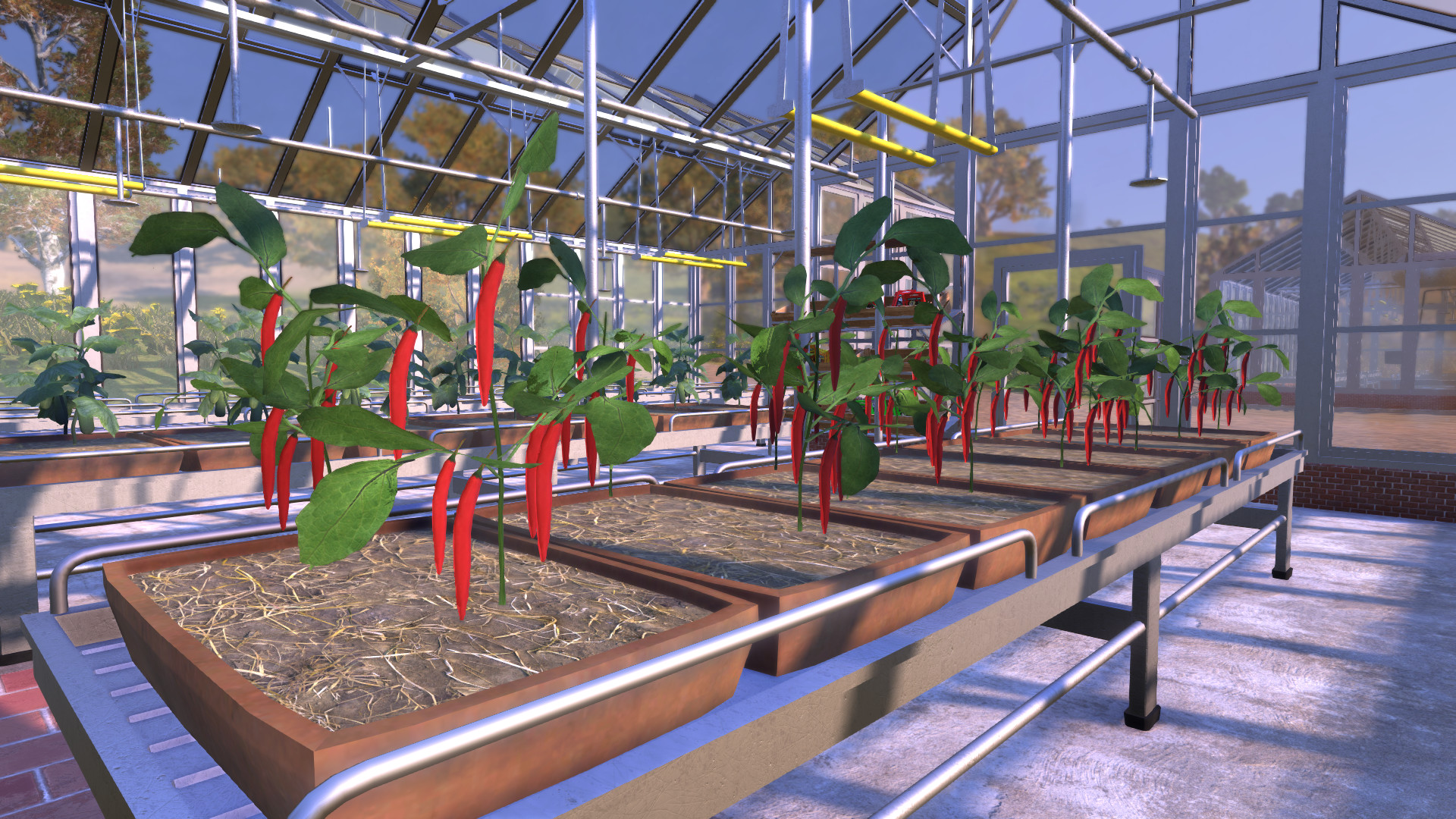 农夫王朝 Farmer's Dynasty_0