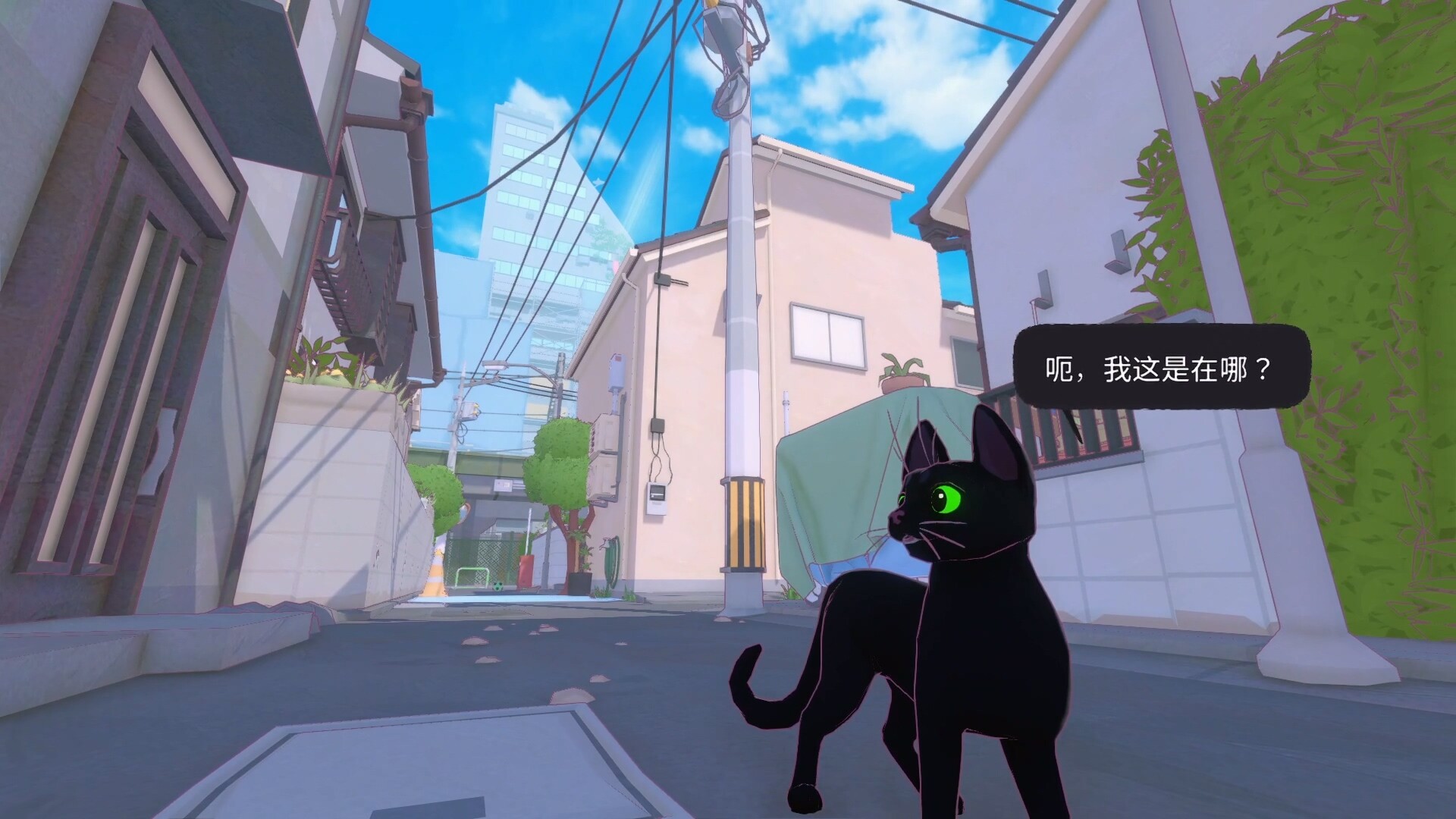 小猫咪大城市_2